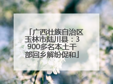 广西壮族自治区玉林市陆川县：3900多名本土干部回乡解纷促和