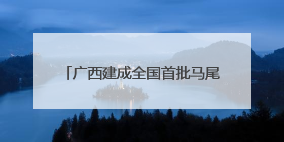 广西建成全国首批马尾松3代无性系种子园