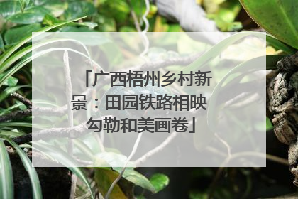 广西梧州乡村新景：田园铁路相映 勾勒和美画卷