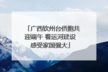 广西钦州台侨胞共迎端午 看运河建设感受家国强大