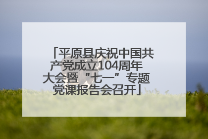 平原县庆祝中国共产党成立104周年大会暨“七一”专题党课报告会召开