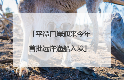 平潭口岸迎来今年首批远洋渔船入境