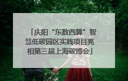 庆阳“东数西算”智慧低碳园区实践项目亮相第三届上海碳博会
