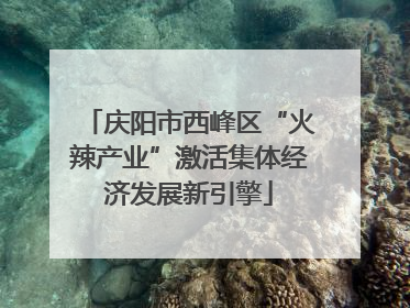 庆阳市西峰区“火辣产业”激活集体经济发展新引擎