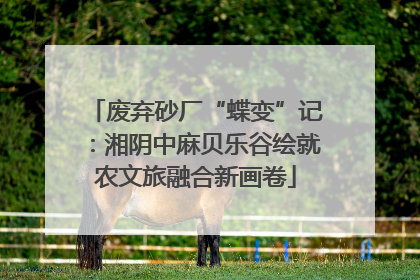 废弃砂厂“蝶变”记：湘阴中麻贝乐谷绘就农文旅融合新画卷