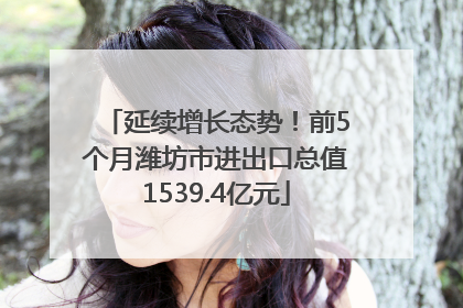 延续增长态势！前5个月潍坊市进出口总值1539.4亿元