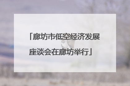 廊坊市低空经济发展座谈会在廊坊举行