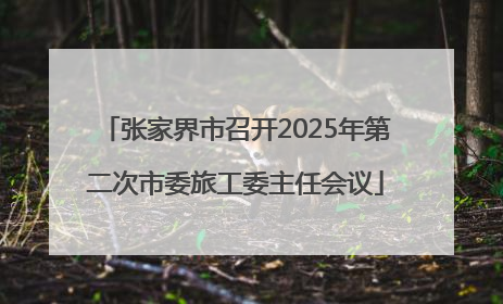 张家界市召开2025年第二次市委旅工委主任会议