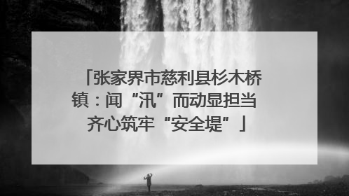 张家界市慈利县杉木桥镇：闻“汛”而动显担当 齐心筑牢“安全堤”