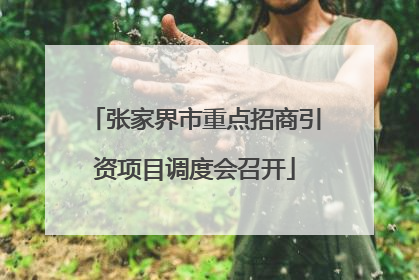 张家界市重点招商引资项目调度会召开