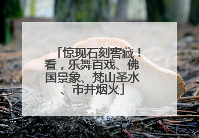 惊现石刻窖藏！看，乐舞百戏、佛国景象、梵山圣水、市井烟火