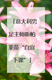 意大利男足主帅斯帕莱蒂“自宣下课”
