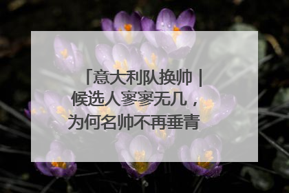 意大利队换帅｜候选人寥寥无几，为何名帅不再垂青“蓝衣军团”？
