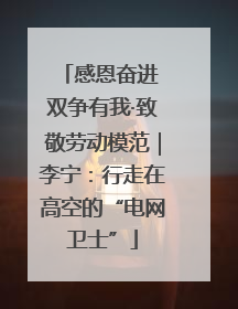 感恩奋进 双争有我·致敬劳动模范｜李宁：行走在高空的“电网卫士”