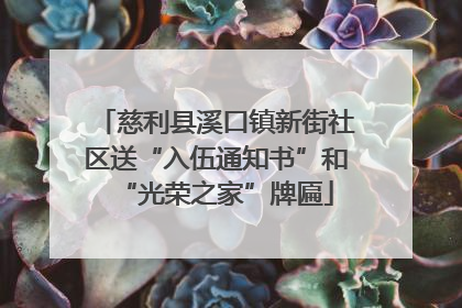 慈利县溪口镇新街社区送“入伍通知书”和“光荣之家”牌匾