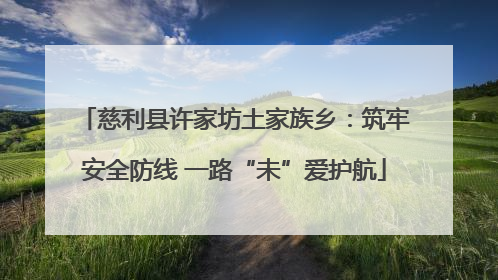 慈利县许家坊土家族乡：筑牢安全防线 一路“未”爱护航