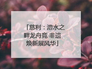 慈利：澧水之畔龙舟竞 非遗焕新展风华
