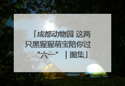 成都动物园 这两只黑猩猩萌宝陪你过“六一”｜图集