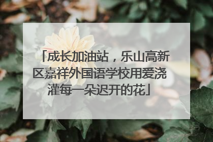 成长加油站，乐山高新区嘉祥外国语学校用爱浇灌每一朵迟开的花