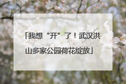 我想“开”了！武汉洪山多家公园荷花绽放