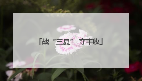 战“三夏” 夺丰收