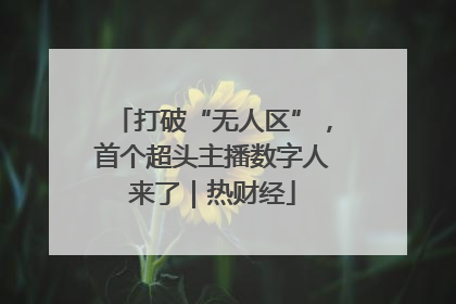 打破“无人区”，首个超头主播数字人来了｜热财经