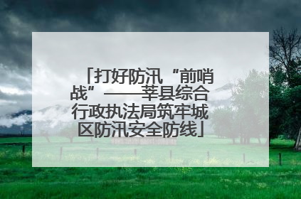 打好防汛“前哨战”——莘县综合行政执法局筑牢城区防汛安全防线