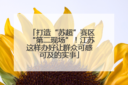 打造“苏超”赛区“第二现场”！江苏这样办好让群众可感可及的实事