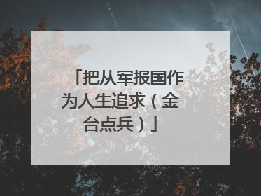 把从军报国作为人生追求（金台点兵）