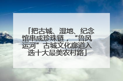 把古城、湿地、纪念馆串成珍珠链，“鲁风运河”古城文化廊道入选十大最美农村路