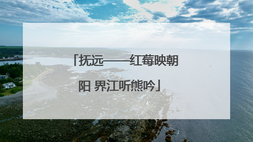 抚远——红莓映朝阳 界江听熊吟