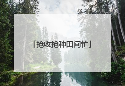 抢收抢种田间忙