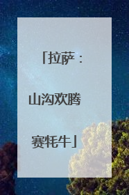 拉萨：山沟欢腾赛牦牛