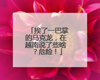 挨了一巴掌的马克龙，在越南说了些啥？危险！