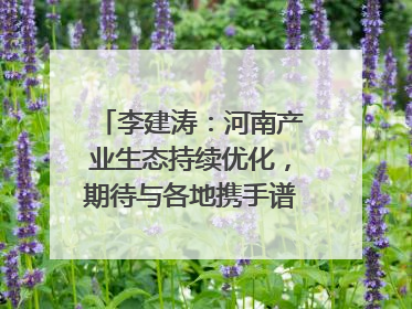 李建涛：河南产业生态持续优化，期待与各地携手谱写合作新篇章