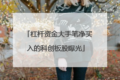 杠杆资金大手笔净买入的科创板股曝光