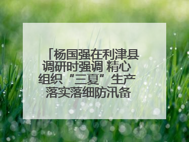 杨国强在利津县调研时强调 精心组织“三夏”生产 落实落细防汛备汛工作