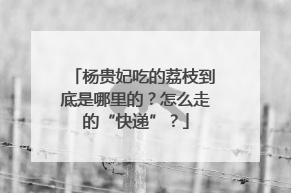 杨贵妃吃的荔枝到底是哪里的？怎么走的“快递”？