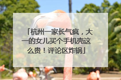 杭州一家长气疯，大一的女儿买个手机壳这么贵！评论区炸锅