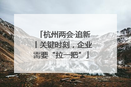杭州两会·追新丨关键时刻，企业需要“拉一把”