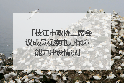 枝江市政协主席会议成员视察电力保障能力建设情况