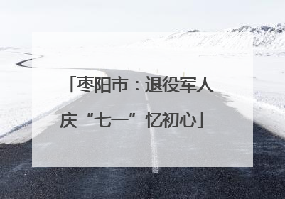 枣阳市：退役军人庆“七一”忆初心