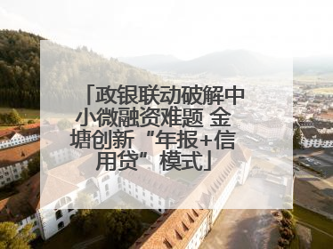 政银联动破解中小微融资难题 金塘创新“年报+信用贷”模式