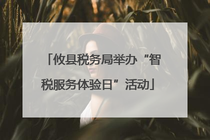 攸县税务局举办“智税服务体验日”活动