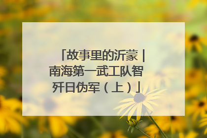 故事里的沂蒙｜南海第一武工队智歼日伪军（上）