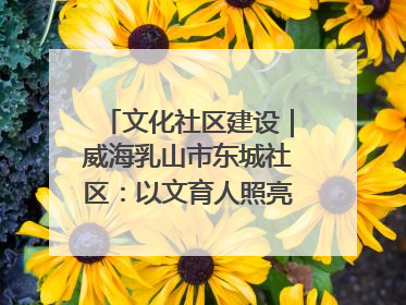 文化社区建设｜威海乳山市东城社区：以文育人照亮成长灯塔