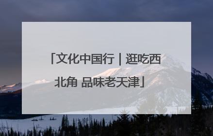文化中国行｜逛吃西北角 品味老天津