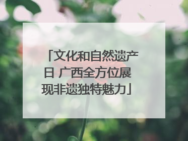 文化和自然遗产日 广西全方位展现非遗独特魅力