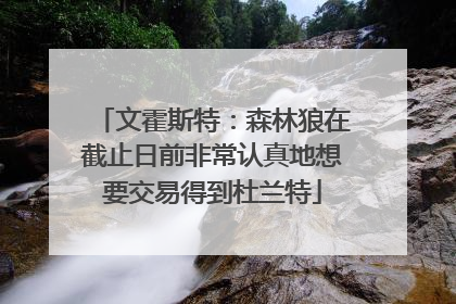 文霍斯特：森林狼在截止日前非常认真地想要交易得到杜兰特