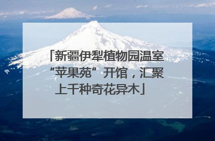 新疆伊犁植物园温室“苹果苑”开馆，汇聚上千种奇花异木
